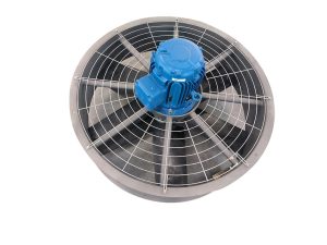 Fan