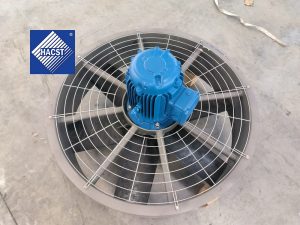 Fan